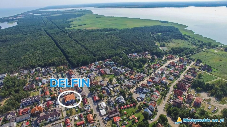 DELFIN