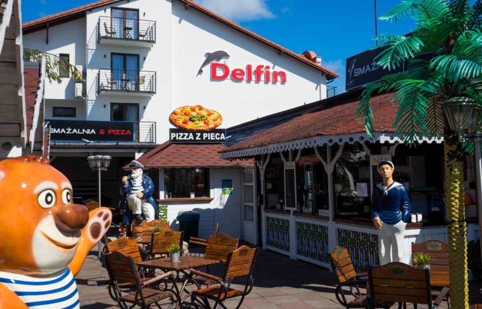 DELFIN
