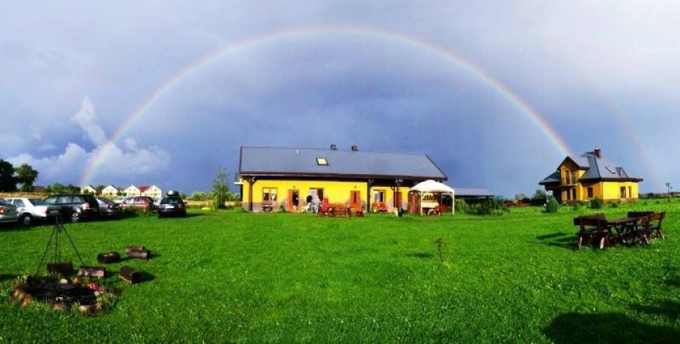 GĄSKI NA FALI