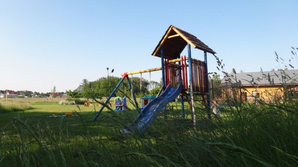 GĄSKI NA FALI