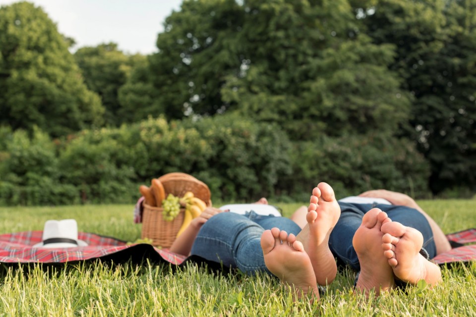 Majówka - Apartament Piastowski 14