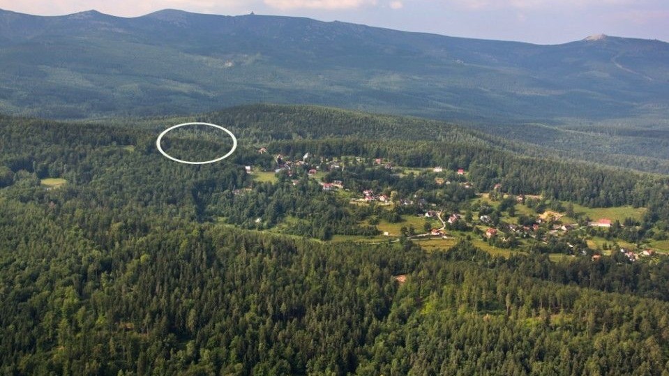 Dom Wypoczynkowy LEŚNY CZAR