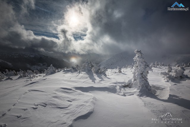 Galeria Pawła Uchorczaka