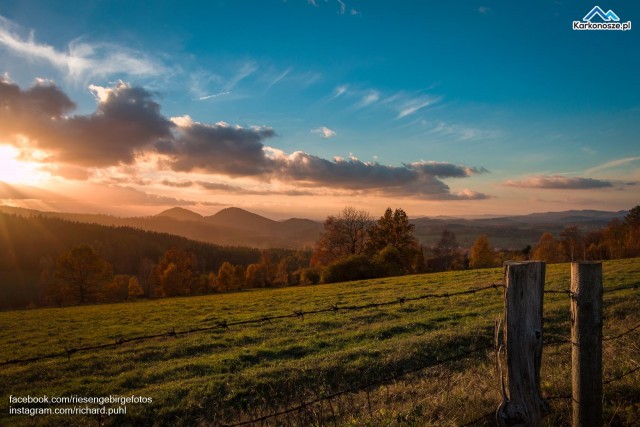 Galeria Richarda Puhla