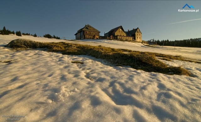 Galeria Sławka Podgórnego