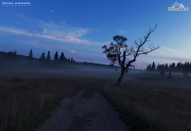 Nocny spacer do Chatki Górzystów
