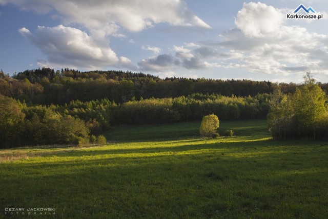Spacer w Górach Kaczawskich