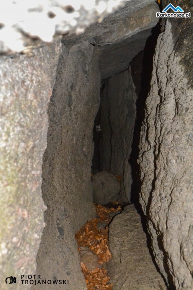 Rezerwat Krokusy - tablica informacyjna