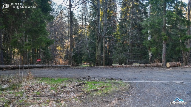 Rezerwat Krokusy widziany od strony drogi