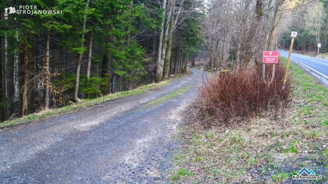 Droga szutrowa przez las