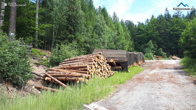 Przy Rozdrożu Pod Jańską Górą