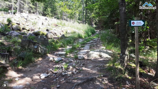 Ciąg dalszy szlaku niebieskiego