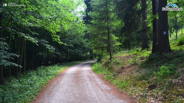 Początek drogi z Przełęczy Karpnickiej