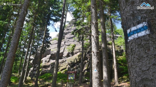 Starościńskie Skały widziane od szlaku