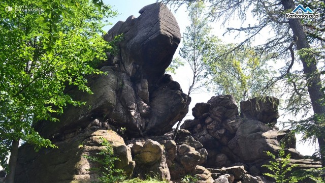 Na szczycie Starościńskich Skał