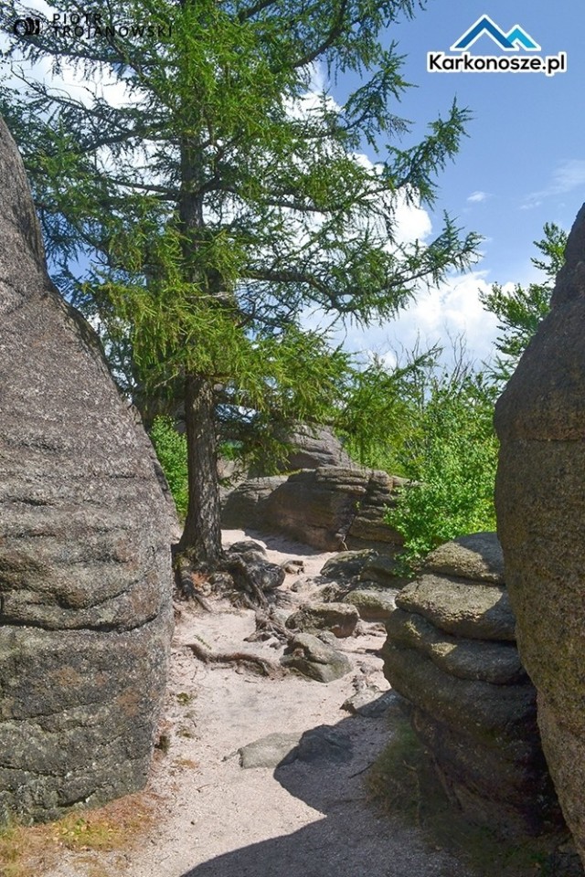 Starościńskie Skały