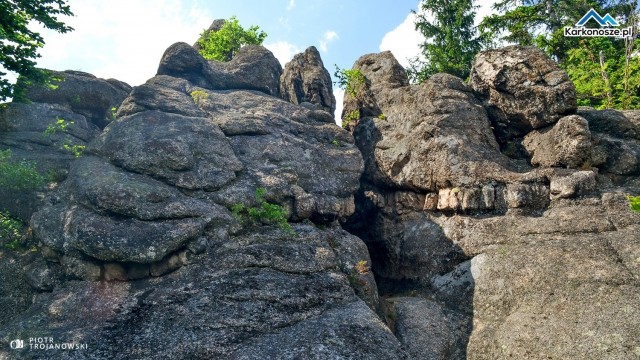 Na szczycie Starościńskich Skał