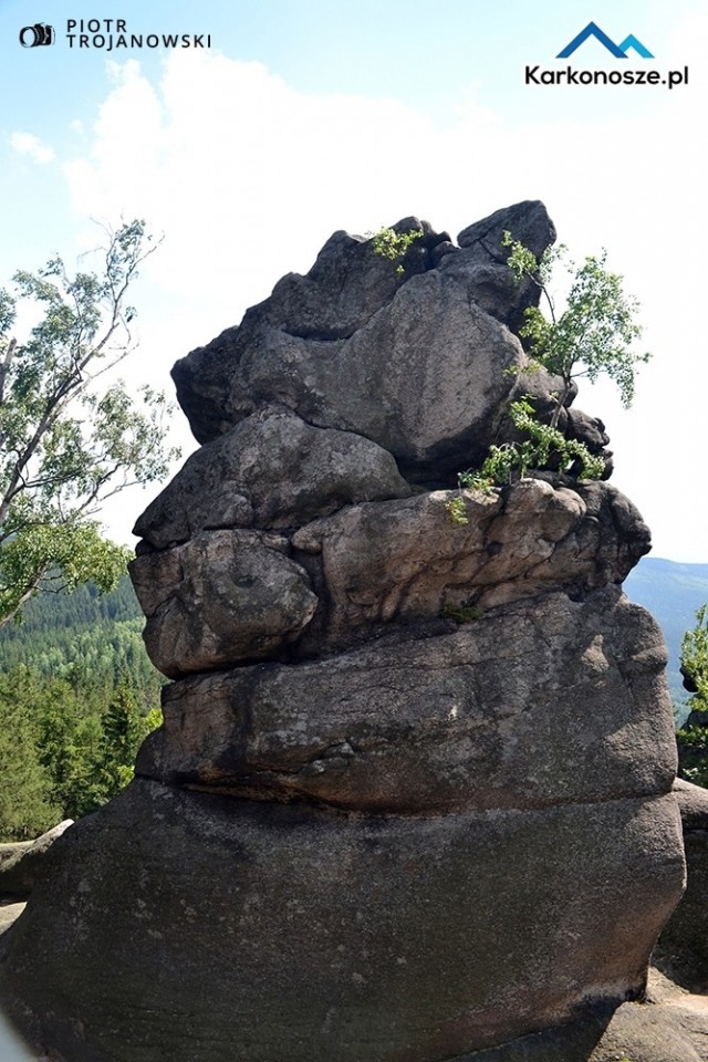 Na szczycie Starościńskich Skał