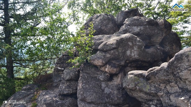 Na szczycie Starościńskich Skał