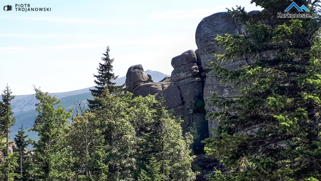 Widok z górnej części Pielgrzymów 