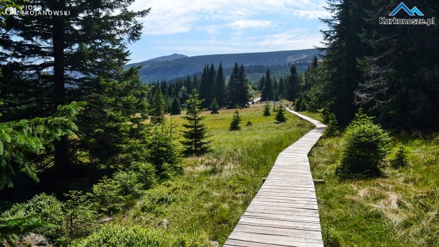 Kładka wiadąca od Polany