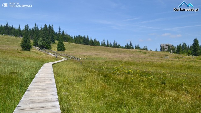 Szlak żółty na Pielgrzymy