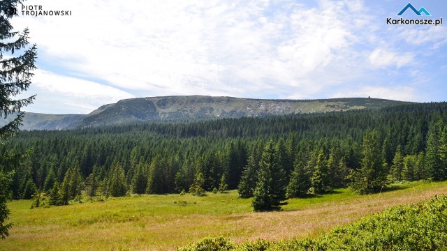 Grzbiet Karkonoszy i Słonecznik