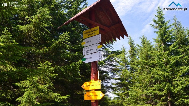 Rozdroże pod Pielgrzymami