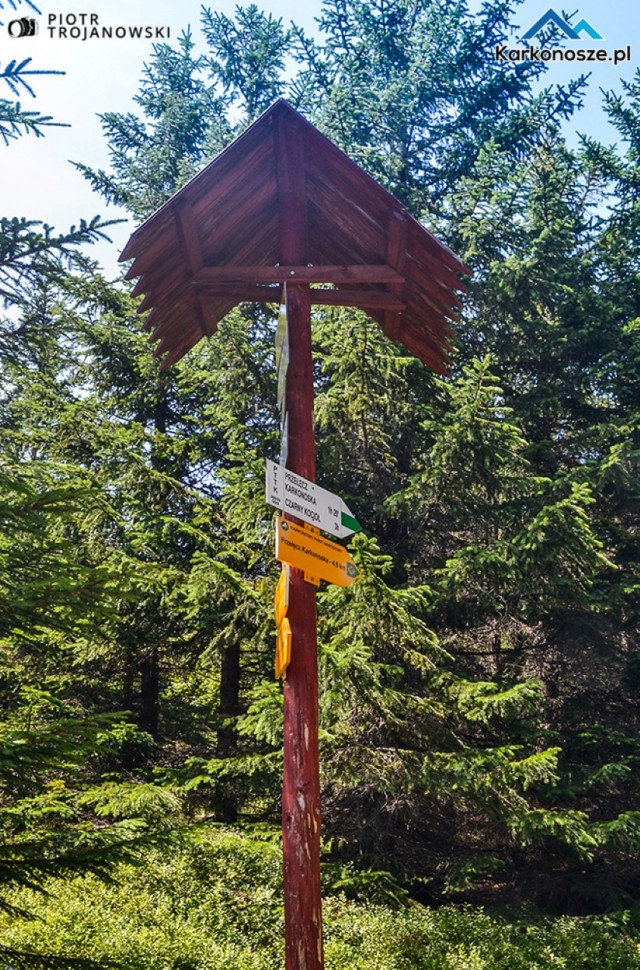 Rozdroże pod Pielgrzymami