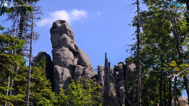 Część Pielgrzymów