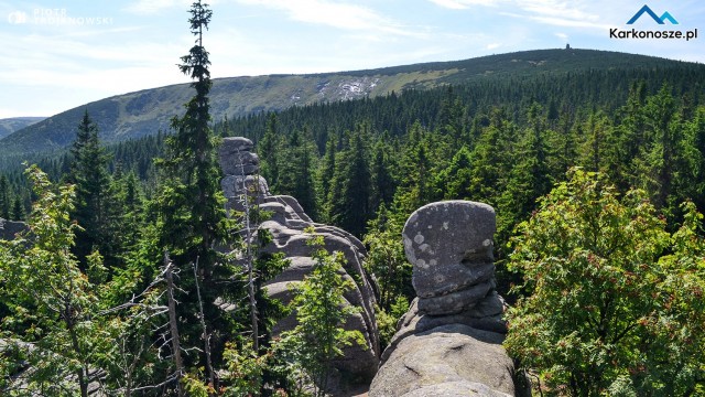 Widok z górnej części Pielgrzymów 