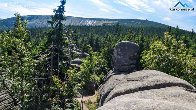 Widok na Słonecznik i grzebiet Karkonoszy