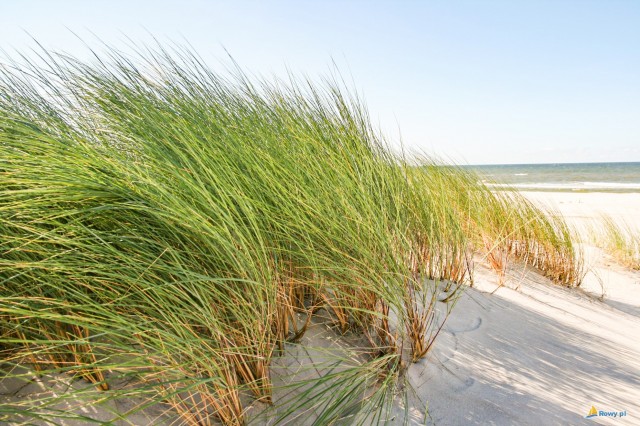 Słowiński Park Narodowy