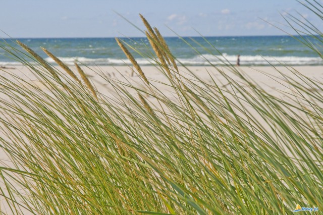 Plaża w Rowach