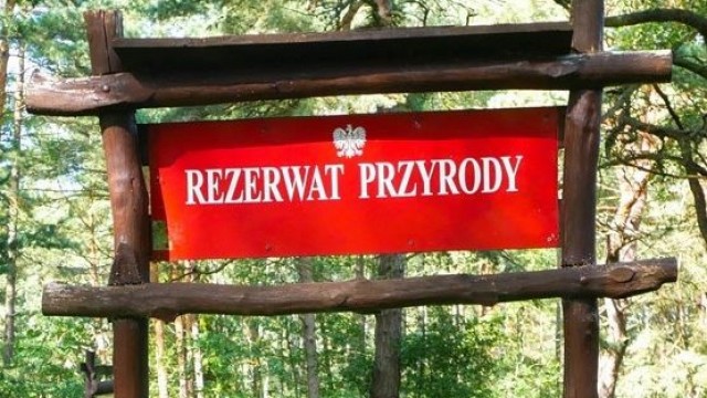 Mechelińskie Łąki