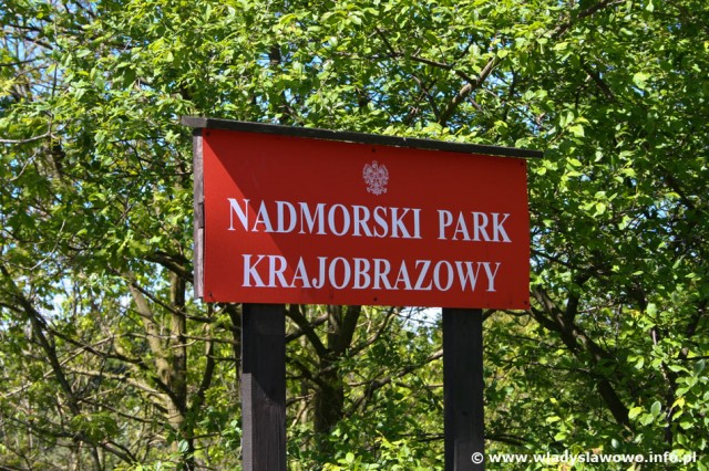 Różne