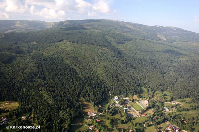 Borowice
