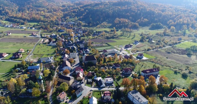 Sosnówka