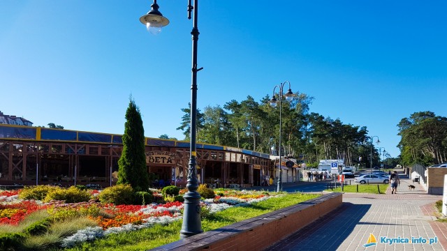 Krynica