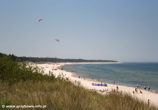 Plaża w Grzybowie