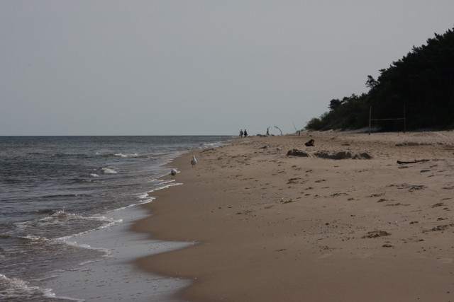 Plaża w Wisełce