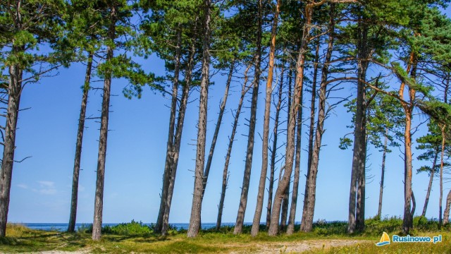 Plaża w Rusinowie