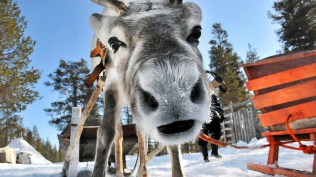 Lapońska wioska Kalevala