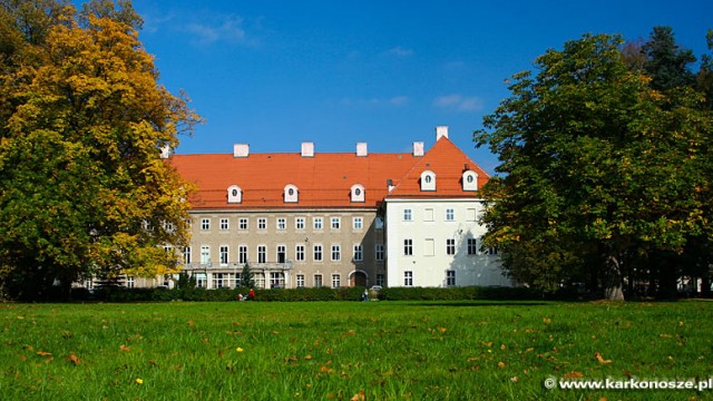 Pałac Schaffgotschów