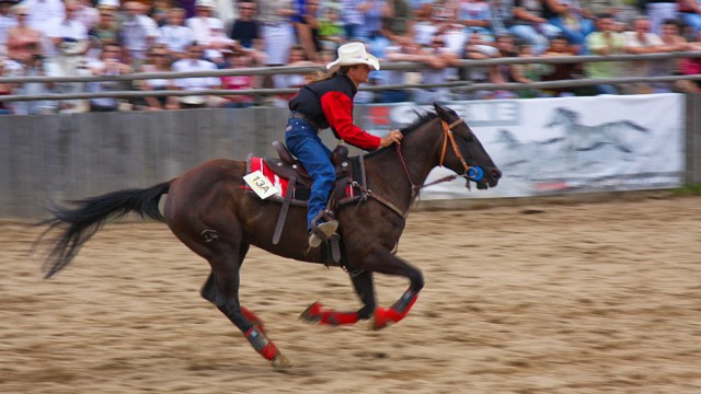 Western City Ściegny