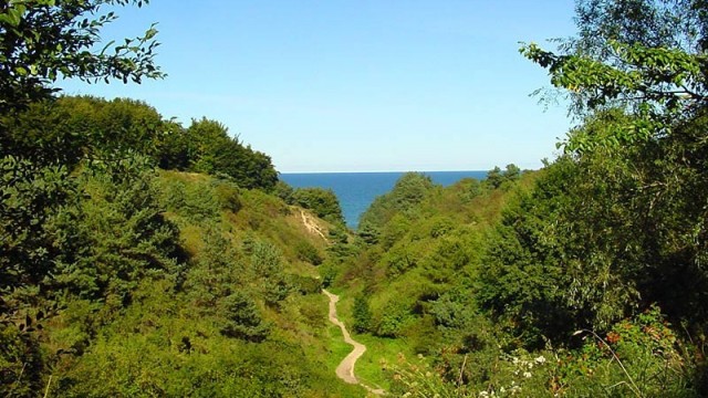 Rezerwat Dolina Chłapowska