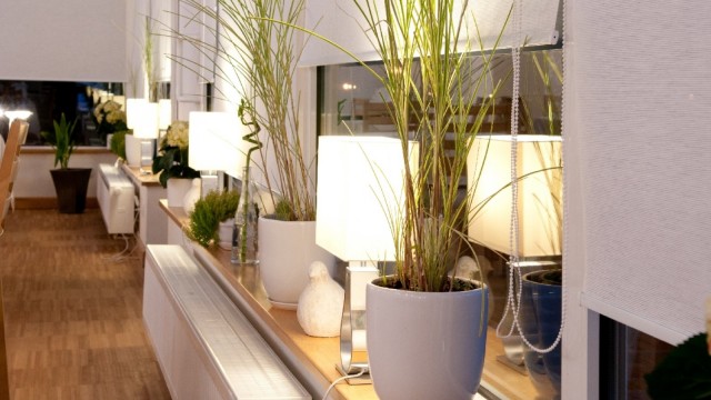 Restauracja & Cafe Bar w Hotelu Cieplice