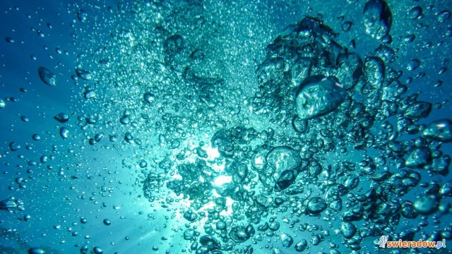 Pijalnia wody radoczynnej