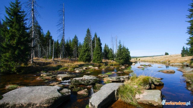 Rezerwat przyrody Torfowiska Doliny Izery