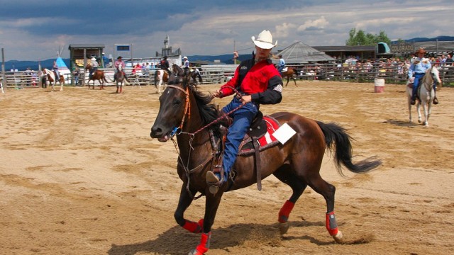 Western City w Ściegnach